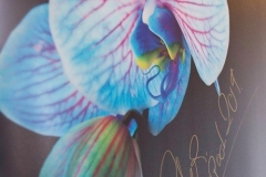 69623410_1326855044172834_524279897544196096_n