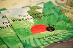 38600468_966288210229521_4403071768869208064_o