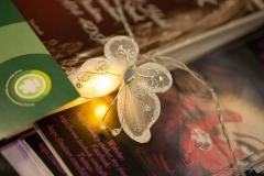 38612428_966287796896229_3030648942623719424_o