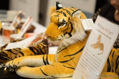 38743209_966288123562863_8139953063126368256_o